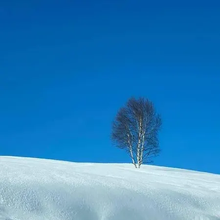 Casa Dolce Casa *